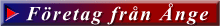 Företag från Ånge