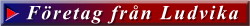 Företag från Ludvika