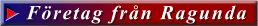 Företag från Ragunda