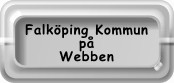 Falköping på internet