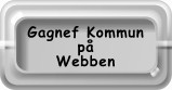 Gagnef på internet