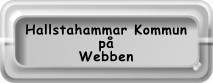 Hallstahammar på internet