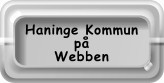 Haninge på internet