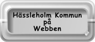 Hässleholm på internet