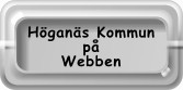 Höganäs på internet
