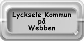 Lycksele på internet
