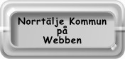 Norrtälje på internet