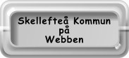 Skellefte%aring; på internet