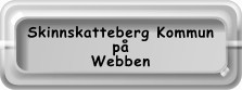 Skinnskatteberg på internet