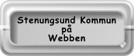 Stenungsund på internet