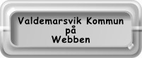 Valdemarsvik på internet